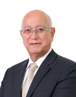 Prof. Hossam Hamdy